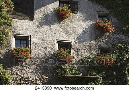 Close up of a stone building with colourful flowers in window boxes; Rattenburg, Austria View Large Photo Image Stock Image - Close up of a stone building with colourful flowers in window boxes; Rattenburg, Austria. Fotosearch