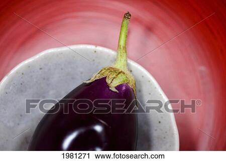 Close-Up View Of A Chinese Eggplant On Layered White And Red Plates. View Large Photo Image Stock Image - Close-Up View Of A Chinese Eggplant On Layered White And Red Plates.. Fotosearch