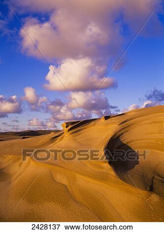 Clouds and dunes are shape-shifters; Lakeside, Oregon, United States of America View Large Photo Image Stock Photo - Clouds and dunes are shape-shifters; Lakeside, Oregon, United States of America. Fotosearch