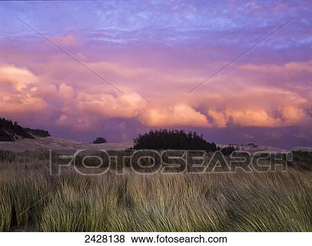 Clouds catch light from the setting sun; Lakeside, Oregon, United States of America View Large Photo Image Stock Photo - Clouds catch light from the setting sun; Lakeside, Oregon, United States of America. Fotosearch