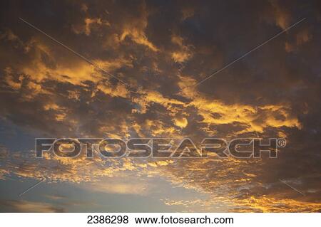 Clouds glowing a golden colour at sunset; Calgary, Alberta, Canada View Large Photo Image Stock Photo - Clouds glowing a golden colour at sunset; Calgary, Alberta, Canada. Fotosearch