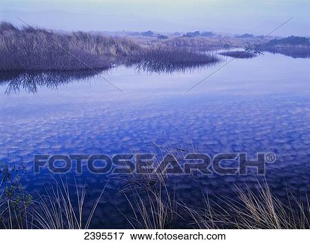 Clouds reflected in the deflection plain; Lakeside, Oregon, United States of America View Large Photo Image Stock Photo - Clouds reflected in the deflection plain; Lakeside, Oregon, United States of America. Fotosearch