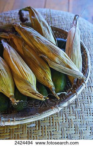 Cobs of corn in their husks in a bowl; Ulpotha, Embogama, Sri Lanka View Large Photo Image Picture - Cobs of corn in their husks in a bowl; Ulpotha, Embogama, Sri Lanka. Fotosearch