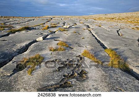 Stock Photo - Cracks in rock slabs of the Burren, near Fanore; County Clare, Ireland. Fotosearch