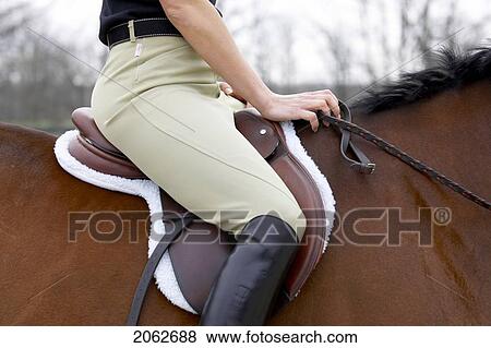 Stock Photo - Detail Of Equestrian Rider Sitting On A Horse (Equus Caballus). Fotosearch