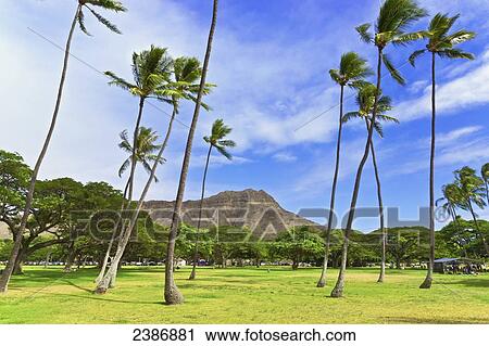 Diamond Head in Kapiolani regional park; Honolulu, Oahu, Hawaii, United States of America View Large Photo Image Stock Image - Diamond Head in Kapiolani regional park; Honolulu, Oahu, Hawaii, United States of America. Fotosearch
