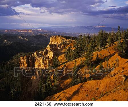 Evening light brightens the ridges at Bryce Canyon National Park; Ruby's Inn, Utah, United States of America View Large Photo Image Stock Photo - Evening light brightens the ridges at Bryce Canyon National Park; Ruby's Inn, Utah, United States of America. Fotosearch