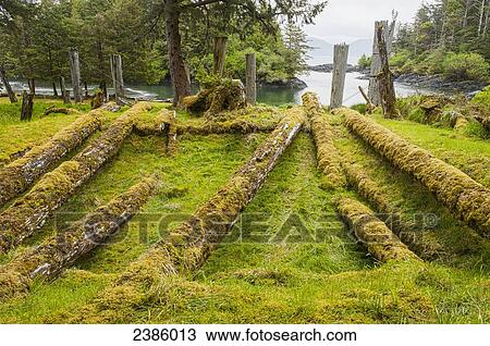 Stock Image - Fallen Haida longhouse; Haida Gwaii, British Columbia, Canada. Fotosearch