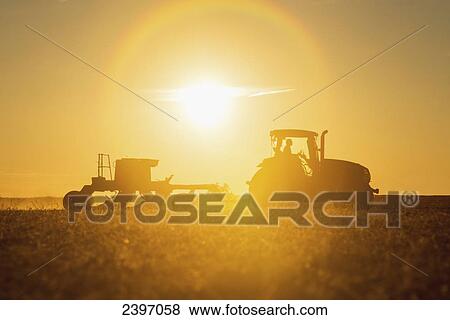 Farmer planting cover crop over soybean stubble in Kent County; Rock Hall, Maryland, United States of America View Large Photo Image Stock Photo - Farmer planting cover crop over soybean stubble in Kent County; Rock Hall, Maryland, United States of America. Fotosearch