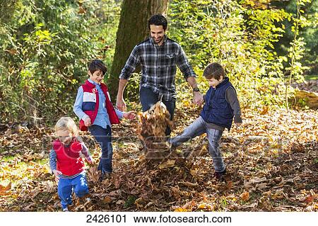 Father and three sons playing in the leaves in a park in autumn; Langley, British Columbia, Canada View Large Photo Image Stock Image - Father and three sons playing in the leaves in a park in autumn; Langley, British Columbia, Canada. Fotosearch