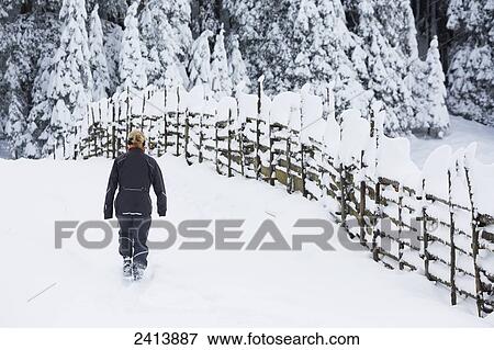 Stock Photo - Female hiker in the snow along a wooden fence with snow covered tree in the background; Hintertux, Austria . Fotosearch