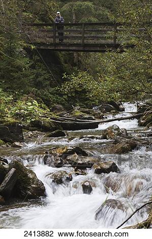 Female hiker on wooden bridge over a rushing creek in the woods; Lanserbach, Austria View Large Photo Image Stock Image - Female hiker on wooden bridge over a rushing creek in the woods; Lanserbach, Austria. Fotosearch