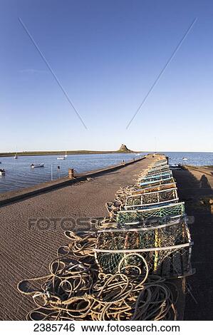 Fishing traps in a row on a pier along the water; Lindisfarne, Northumberland, England View Large Photo Image Stock Photograph - Fishing traps in a row on a pier along the water; Lindisfarne, Northumberland, England. Fotosearch