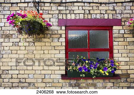 Stock Photo - Flowers decorate a red trimmed window and a brick wall; Lake District, Cumbria, England. Fotosearch