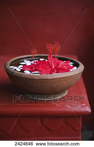 Stock Photograph - Flowers floating in water in a bowl; Ulpotha, Embogama, Sri Lanka. Fotosearch