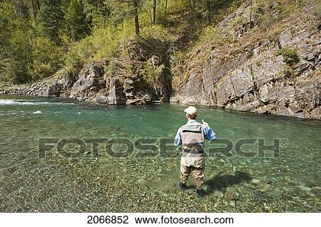 Stock Image - Fly-Fishing Guide, Russ Trand, Fly-Fishing On Tributary Of Elk River Near Fernie, Elk Valley, East Kootenays, British Columbia, Canada.. Fotosearch