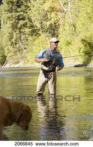 Stock Photography - Fly-Fishing Guide, Russ Trand, Fly-Fishing On Tributary Of Elk River Near Fernie, Elk Valley, East Kootenays, British Columbia, Canada.. Fotosearch
