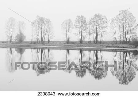 Fog descends on the Alouette River; Pitt Meadows, British Columbia, Canada View Large Photo Image Stock Image - Fog descends on the Alouette River; Pitt Meadows, British Columbia, Canada. Fotosearch