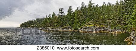 Forest along the coastline with storm clouds overhead; British Columbia, Canada View Large Photo Image Stock Image - Forest along the coastline with storm clouds overhead; British Columbia, Canada. Fotosearch