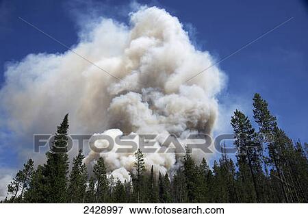 Forest fire beginning near Redfish lake; Stanley, Idaho, United States of America View Large Photo Image Stock Photo - Forest fire beginning near Redfish lake; Stanley, Idaho, United States of America. Fotosearch