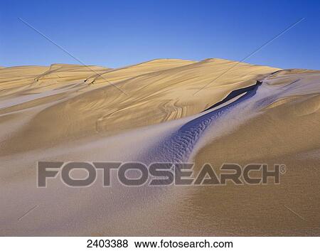 Frost accents the sand dunes in Oregon Dunes National Recreation Area; Lakeside, Oregon, United States of America View Large Photo Image Stock Photo - Frost accents the sand dunes in Oregon Dunes National Recreation Area; Lakeside, Oregon, United States of America. Fotosearch