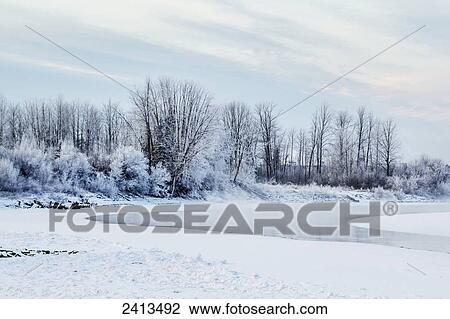 Frost and fresh snow cover the landscape and trees and the river is completely frozen with steam rising in the morning sun; Fort McMurray, Alberta, Canada View Large Photo Image Stock Image - Frost and fresh snow cover the landscape and trees and the river is completely frozen with steam rising in the morning sun; Fort McMurray, Alberta, Canada. Fotosearch