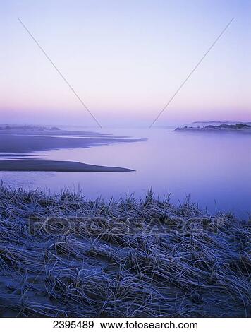 Stock Photo - Frost coats the beach grass on the Salt Marsh; Florence, Oregon, United States of America. Fotosearch
