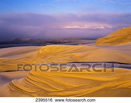 Stock Photograph - Frost on the Umpqua Dunes; Lakeside, Oregon, United States of America. Fotosearch