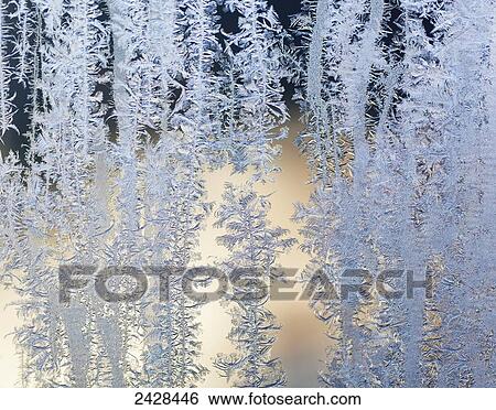 Frost patterns are captured on a frosted window pane in the early morning on Vancouver Island; British Columbia, Canada View Large Photo Image Stock Photograph - Frost patterns are captured on a frosted window pane in the early morning on Vancouver Island; British Columbia, Canada. Fotosearch