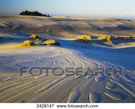 Frost turns the sand white in the winter; Lakeside, Oregon, United States of America View Large Photo Image Stock Photo - Frost turns the sand white in the winter; Lakeside, Oregon, United States of America. Fotosearch