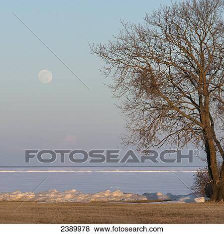 Stock Photo - Full moon over frozen Lake Winnipeg in winter, Hecla-Grindstone Provincial Park; Riverton, Manitoba, Canada. Fotosearch