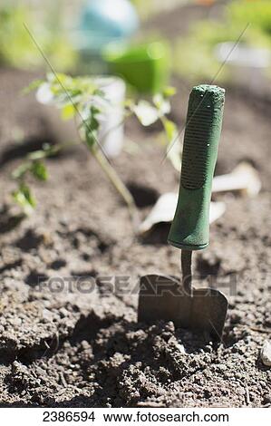 Picture - Garden spade in the earth after planting in the sun; Toronto, Ontario, Canada. Fotosearch
