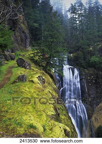 Golden Falls plunges over the cliffs; Allegany, Oregon, United States of America View Large Photo Image Stock Image - Golden Falls plunges over the cliffs; Allegany, Oregon, United States of America. Fotosearch
