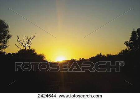 Picture - Golden sunset over the silhouetted landscape; Sardinia, Italy. Fotosearch