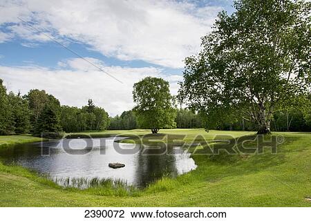 Golf course in Hecla-Grindstone Provincial Park; Riverton, Manitoba, Canada View Large Photo Image Stock Image - Golf course in Hecla-Grindstone Provincial Park; Riverton, Manitoba, Canada. Fotosearch