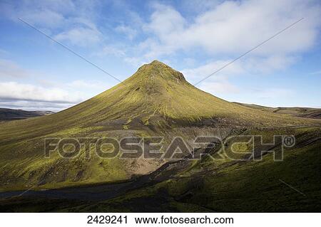 Green foliage growing on a mountainside; Iceland View Large Photo Image Stock Image - Green foliage growing on a mountainside; Iceland. Fotosearch