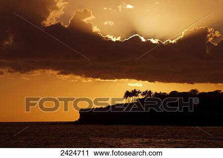 Stock Image - Hawaii, Lanai, Bright orange sunset and silhouetted palm trees, View from Manele Bay.. Fotosearch