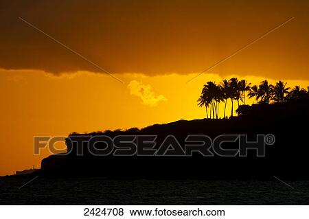 Stock Photo - Hawaii, Lanai, Bright orange sunset and silhouetted palm trees, View from Manele Bay.. Fotosearch