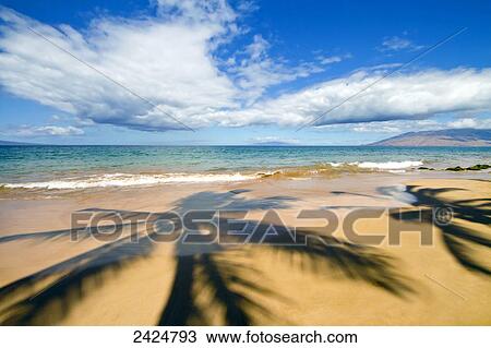 Stock Image - Hawaii, Maui, Wailea, Keawakapu Beach, Palm tree shadows on the beach.. Fotosearch