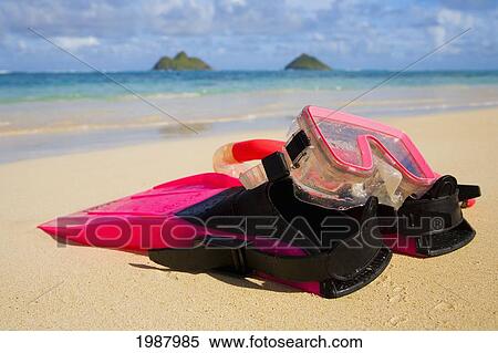 Hawaii, Oahu, Lanikai, Snorkel, Mask And Fins Rest On Sandy Tropical Beach, Mokulua's In Background. View Large Photo Image Stock Photography - Hawaii, Oahu, Lanikai, Snorkel, Mask And Fins Rest On Sandy Tropical Beach, Mokulua's In Background.. Fotosearch