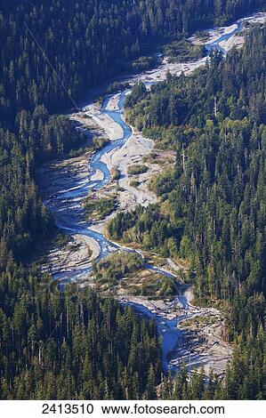 Hoh River; Washington, United States of America View Large Photo Image Stock Image - Hoh River; Washington, United States of America. Fotosearch