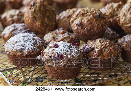 Stock Photo - Homemade oatmeal, cranberry and coconut muffins; Duncan, British Columbia, Canada. Fotosearch
