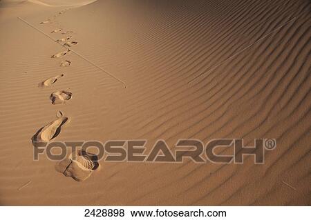Stock Photo - Human footprints and ripples in the sand, Coral Pink Sand Dunes State Park; Utah, United States of America. Fotosearch