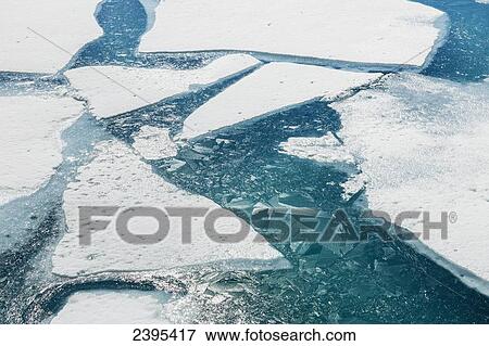 Ice breaking apart on the surface of Portage Lake in springtime with ice crystals in the water, Chugach National Forest; Portage, Alaska, United States of America View Large Photo Image Stock Photo - Ice breaking apart on the surface of Portage Lake in springtime with ice crystals in the water, Chugach National Forest; Portage, Alaska, United States of America. Fotosearch