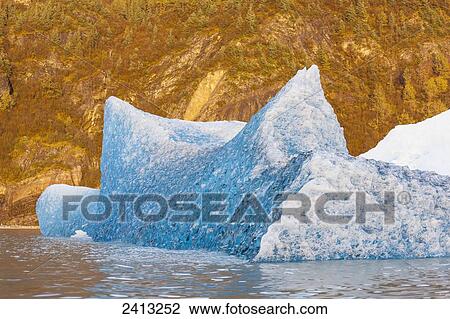 Stock Image - Iceberg broken off Mendenhall Glacier floating in Mendenhall lake, flipping over and exposing blue polished ice from being underwater; Juneau, Alaska, United States of America. Fotosearch