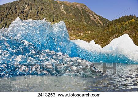 Iceberg broken off Mendenhall Glacier floating in Mendenhall lake, flipping over and exposing blue polished ice from being underwater; Juneau, Alaska, United States of America View Large Photo Image Stock Image - Iceberg broken off Mendenhall Glacier floating in Mendenhall lake, flipping over and exposing blue polished ice from being underwater; Juneau, Alaska, United States of America. Fotosearch