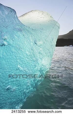 Iceberg broken off Mendenhall Glacier floating in Mendenhall lake, flipping over and exposing blue polished ice from being underwater; Juneau, Alaska, United States of America View Large Photo Image Stock Photography - Iceberg broken off Mendenhall Glacier floating in Mendenhall lake, flipping over and exposing blue polished ice from being underwater; Juneau, Alaska, United States of America. Fotosearch