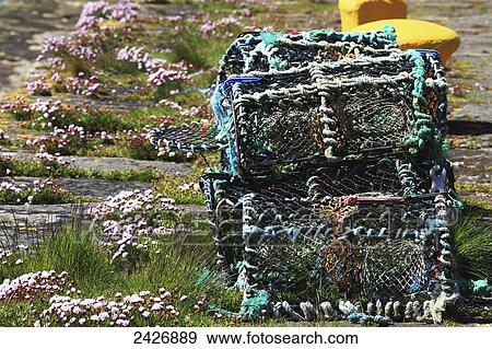 Knightstown Harbour with Lobsterpots; Knightstown, County Kerry, Ireland View Large Photo Image Stock Photo - Knightstown Harbour with Lobsterpots; Knightstown, County Kerry, Ireland. Fotosearch