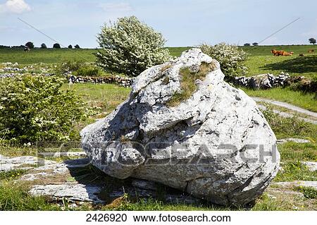 Stock Image - Landscape and a large rock near the Poulnabrone Dolmen; County Clare, Ireland. Fotosearch