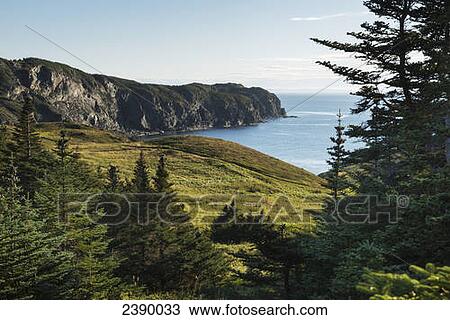 Stock Image - Landscape of Crow Head along the atlantic coast; Twillingate, Newfound and Labrador, Canada. Fotosearch